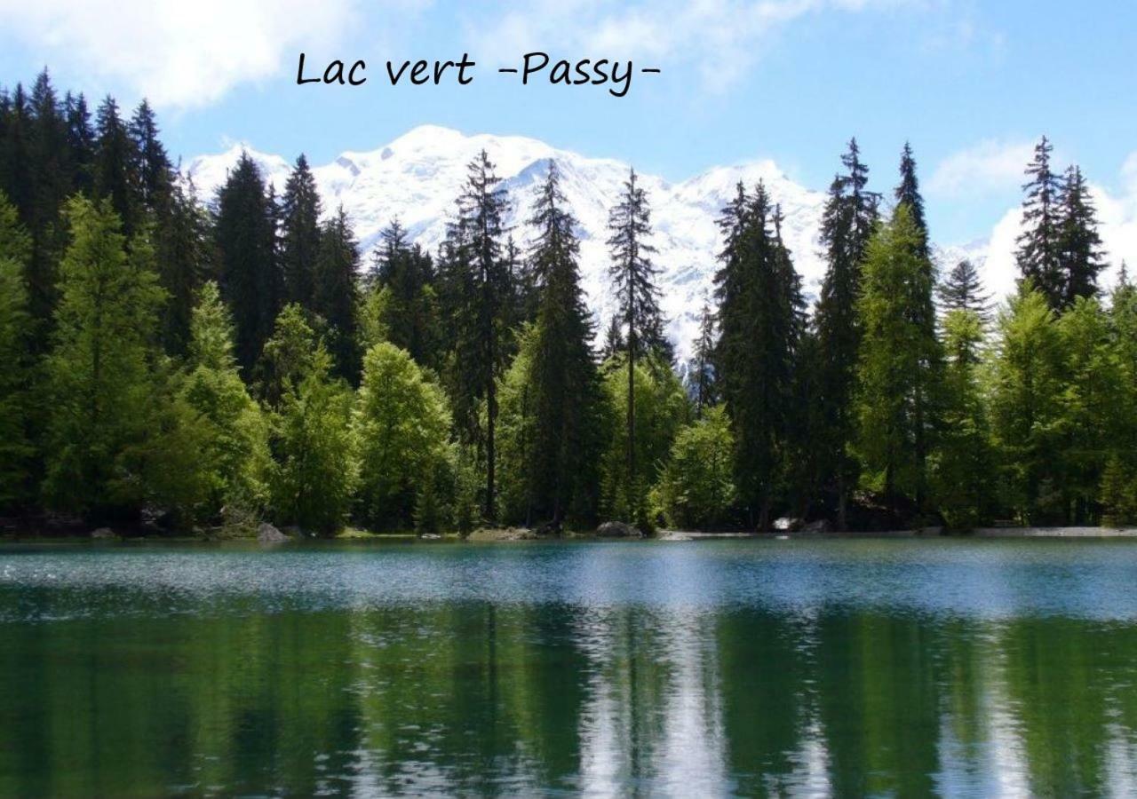 Appartement T2+Cabine Independante Au Depart Des Telecabines Saint-Gervais/Bettex/Mont D'Arbois المظهر الخارجي الصورة